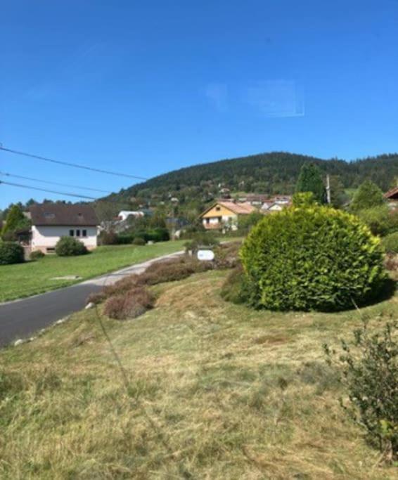 Les Deux Maisons - Little Green - Maison Cosy Proche Pistes Et Lac Gérardmer Eksteriør bilde